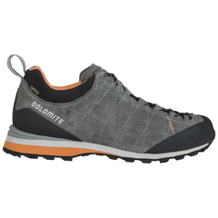 Dolomite Diagonal GTX shoes