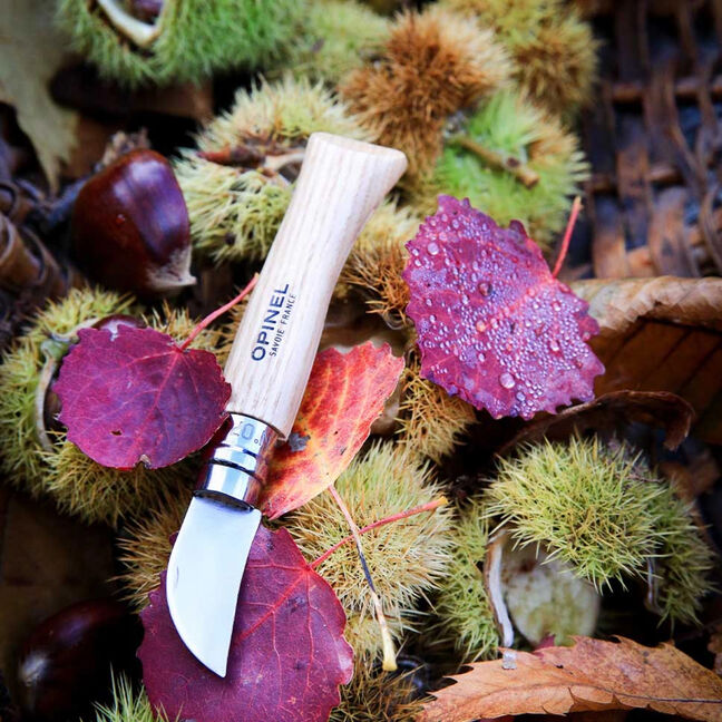 Opinel N° 7 Chataignes & Ail - Couteaux outdoor - Les couteaux Opinel -  Inuka
