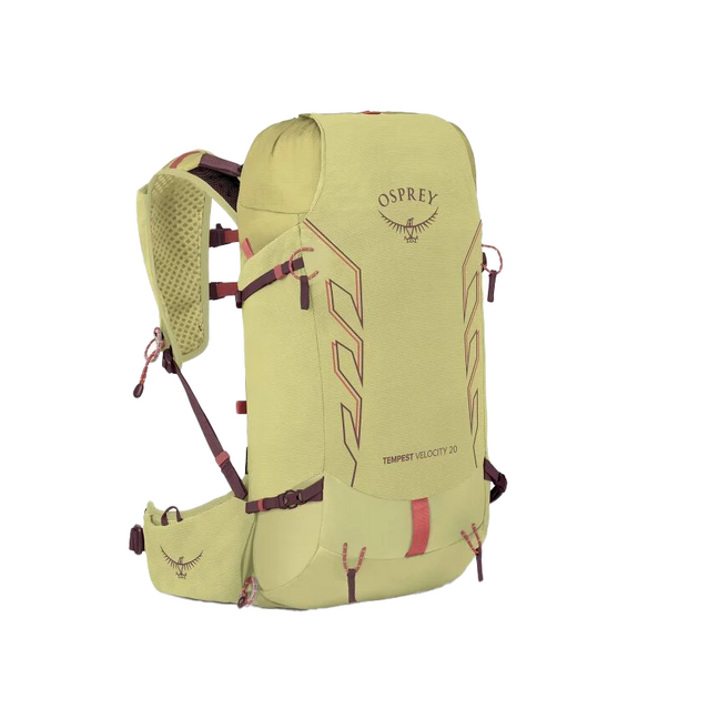 osprey backpack for school Transporter 26+6 Travel Pack, Green OS A lightweight foam backpanel The North Face Recon Surge Color:CLAY GREY 1I4