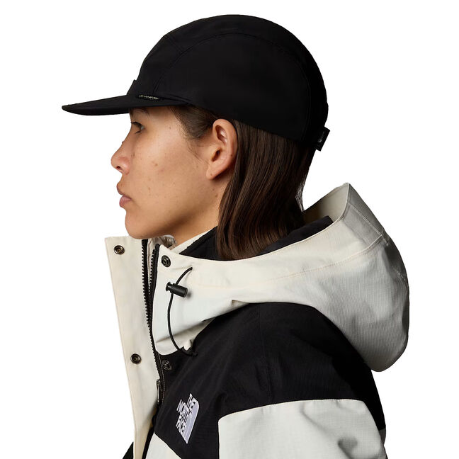 The North Face Gtx Ballcap hat Inwild outdoor store